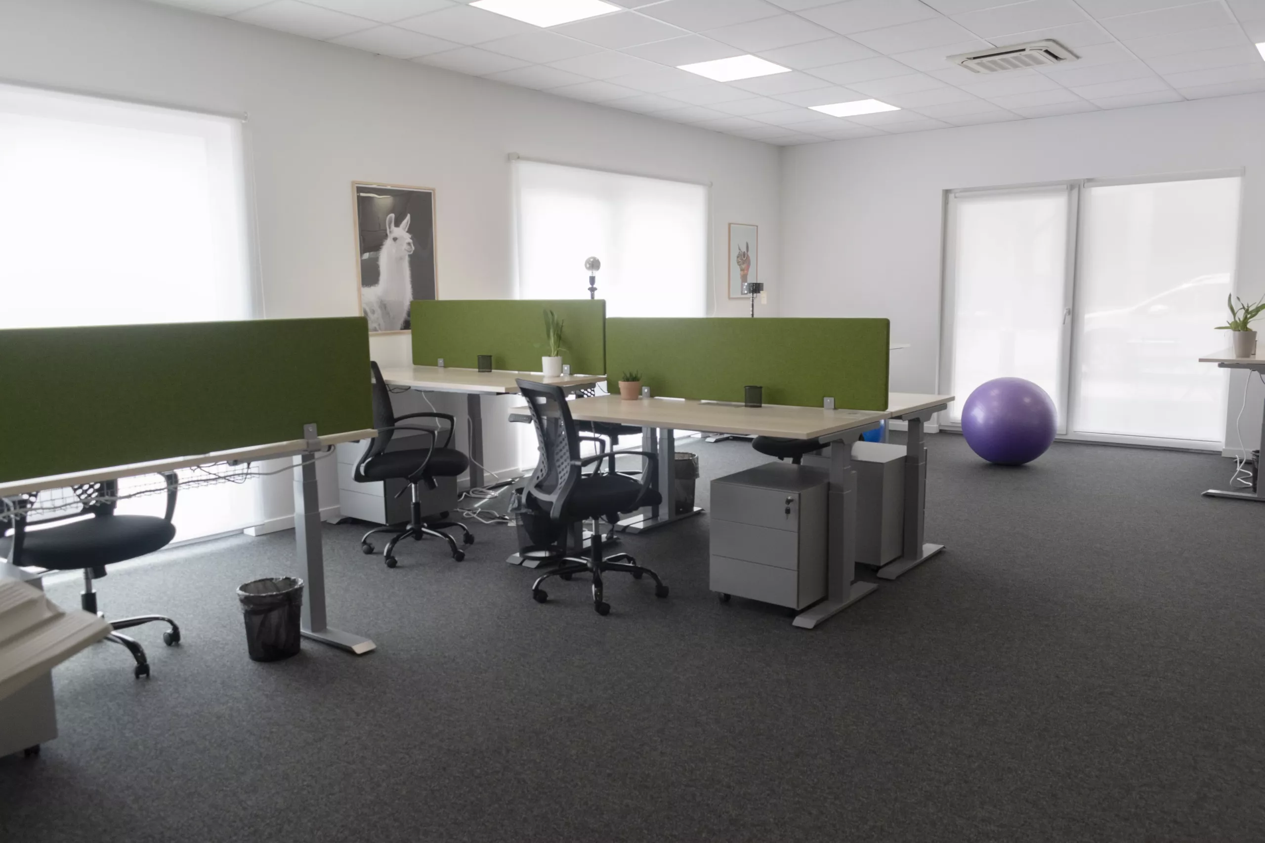 RIZZARDI_Eva_greenspace (2 sur 52)-min Bureaux Espace Coworking Strasbourg Bischeim